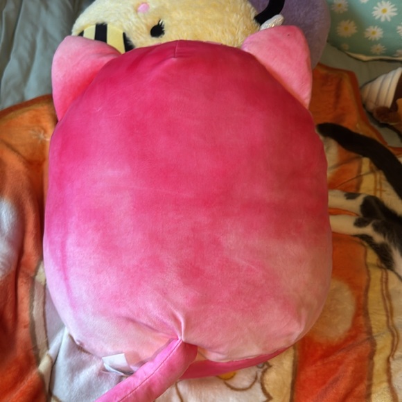 Claudella tabby cat squishmallow brand new - Picture 7 of 7